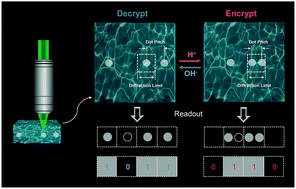 Graphical abstract: Reversible data encryption–decryption using a pH stimuli-responsive hydrogel