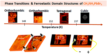 Graphical abstract: Ferroelastic domains and phase transitions in organic–inorganic hybrid perovskite CH3NH3PbBr3