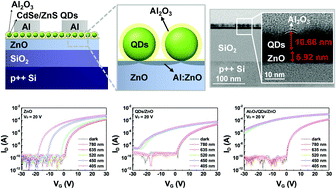Graphical abstract: Improving the photodetection and stability of a visible-light QDs/ZnO phototransistor via an Al2O3 additional layer