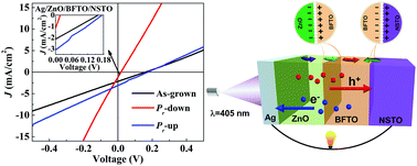 Graphical abstract: Large ferroelectric-polarization-modulated photovoltaic effects in bismuth layered multiferroic/semiconductor heterostructure devices