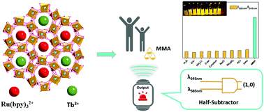 Graphical abstract: A visual logic alarm sensor for diabetic patients towards diabetic polyneuropathy based on a metal–organic framework functionalized by dual-cation exchange