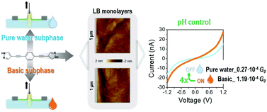 Graphical abstract: pH control of conductance in a pyrazolyl Langmuir–Blodgett monolayer