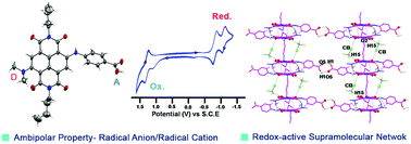 Graphical abstract: Facile access to multi-state redox-active, push–pull naphthalenediimides: panchromatic radical anions and supramolecular networks