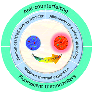 Graphical abstract: Abnormal thermally enhanced upconversion luminescence of lanthanide-doped phosphors: proposed mechanisms and potential applications