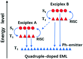 Graphical abstract: Highly efficient and low efficiency roll-off organic light-emitting diodes with double-exciplex forming co-hosts