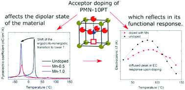 Graphical abstract: Implications of acceptor doping in the polarization and electrocaloric response of 0.9Pb(Mg1/3Nb2/3)O3–0.1PbTiO3 relaxor ferroelectric ceramics