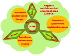 Graphical abstract: The design strategies and applications for organic multi-branched two-photon absorption chromophores with novel cores and branches: a recent review