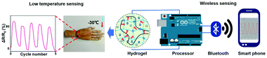 Graphical abstract: Fully-physically crosslinked silk fibroin/poly(hydroxyethyl acrylamide) hydrogel with high transparency and adhesive properties for wireless sensing and low-temperature strain sensing