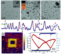 Graphical abstract: Ferroelectric state and polarization switching behaviour of ultrafine BaTiO3 nanoparticles with large-scale size uniformity