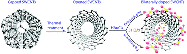 Graphical abstract: Highly efficient bilateral doping of single-walled carbon nanotubes