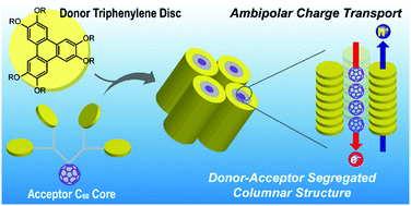 Graphical abstract: Segregated co-assembly of fullerene–triphenylene hybrid dendrimers in columnar mesophases showing ambipolar charge transport
