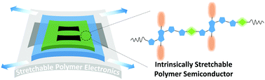 Graphical abstract: Intrinsically stretchable polymer semiconductors: molecular design, processing and device applications