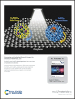 Graphical abstract: Back cover