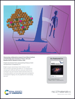 Graphical abstract: Inside back cover