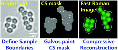 Graphical abstract: Fast confocal Raman imaging via context-aware compressive sensing
