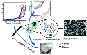 Graphical abstract: Electrochemical sensing of pioglitazone hydrochloride on N-doped r-GO modified commercial electrodes