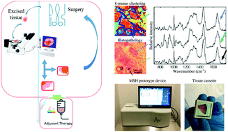 Graphical abstract: Selective-sampling Raman imaging techniques for ex vivo assessment of surgical margins in cancer surgery
