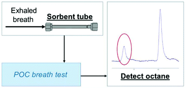 Graphical abstract: Development and validation of a point-of-care breath test for octane detection