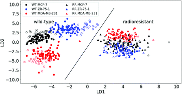 Graphical abstract: Detection of acquired radioresistance in breast cancer cell lines using Raman spectroscopy and machine learning