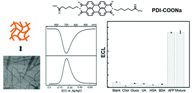 Graphical abstract: Lowly-aggregated perylene diimide as a near-infrared electrochemiluminescence luminophore for ultrasensitive immunosensors at low potentials