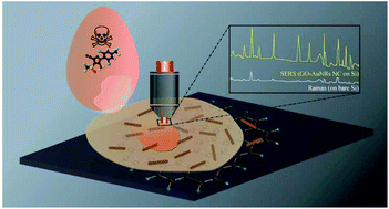 Graphical abstract: The detection of fipronil residue in egg on layered gold nanorod–graphene oxide-based 3D SERS substrate