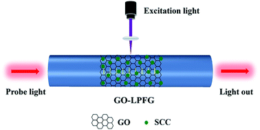 Graphical abstract: Enhanced photothermal signal detection by graphene oxide integrated long period fiber grating for on-site quantification of sodium copper chlorophyllin