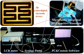 Graphical abstract: Microfluidic integrated capacitive biosensor for C-reactive protein label-free and real-time detection