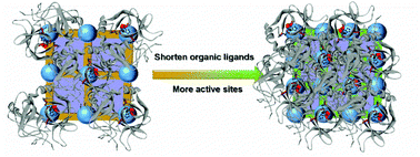 Graphical abstract: Enhancing the enzymatic inhibition performance of Cu-based metal–organic frameworks by shortening the organic ligands