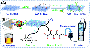 Graphical abstract: Sensitive pH-responsive point-of-care electrochemical immunoassay for influenza A (H1N1) virus using glucose oxidase-functionalized Ti3C2–MXene nanosheets