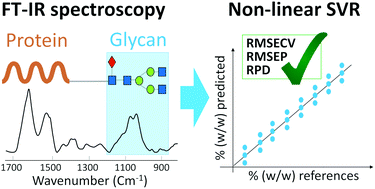 Graphical abstract: A new alternative tool to analyse glycosylation in pharmaceutical proteins based on infrared spectroscopy combined with nonlinear support vector regression