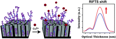 Graphical abstract: Real-time detection of copper contaminants in environmental water using porous silicon Fabry–Pérot interferometers