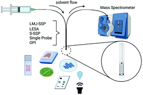Graphical abstract: The liquid micro junction-surface sampling probe (LMJ-SSP); a versatile ambient mass spectrometry interface