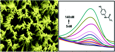 Graphical abstract: An ultrasensitive electrochemical sensor for the detection of acetaminophen via a three-dimensional hierarchical nanoporous gold wire electrode