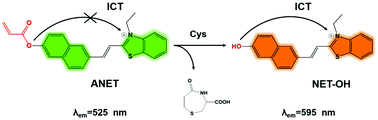 Graphical abstract: Mitochondria-targeted ratiometric fluorescent imaging of cysteine