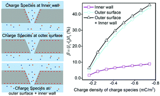 Graphical abstract: Exploring the contribution of charged species at the outer surface to the ion current signal of nanopores: a theoretical study