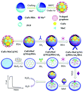 Graphical abstract: The application of the inexpensive and synthetically simple electrocatalyst CuFe-MoC@NG in immunosensors