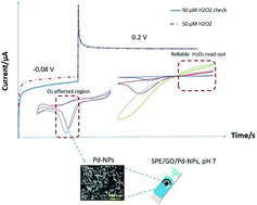 Graphical abstract: Electrochemical operational principles and analytical performance of Pd-based amperometric nanobiosensors