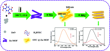Graphical abstract: Tetracycline antibiotics and NH4+ detection by Zn–organic framework fluorescent probe