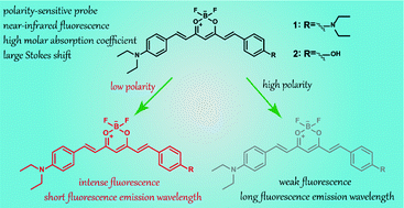 Graphical abstract: New β-diketone-boron difluoride based near-infrared fluorescent probes for polarity detection