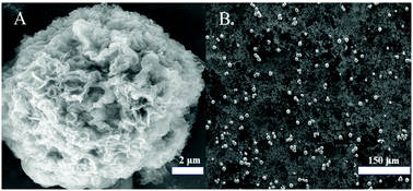 Graphical abstract: An electrochemical biosensor for the detection of pathogenic bacteria based on dual signal amplification of Cu3(PO4)2-mediated click chemistry and DNAzymes