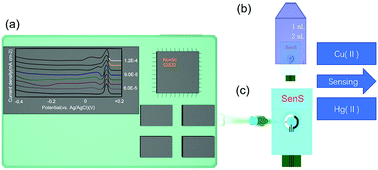 Graphical abstract: In situ detection of heavy metal ions in sewage with screen-printed electrode-based portable electrochemical sensors