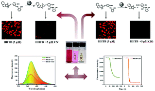 Graphical abstract: A benzaldehyde–indole fused chromophore-based fluorescent probe for double-response to cyanide and hypochlorite in living cells