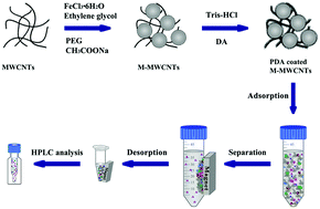 Graphical abstract: Magnetic solid-phase extraction using polydopamine-coated magnetic multiwalled carbon nanotube composites coupled with high performance liquid chromatography for the determination of chlorophenols