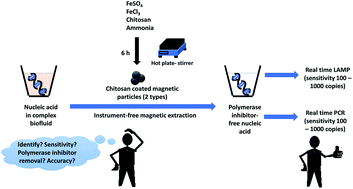 Graphical abstract: Limited-resource preparable chitosan magnetic particles for extracting amplification-ready nucleic acid from complex biofluids