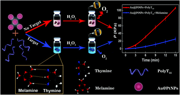 Graphical abstract: Point-of-care testing of melamine via gas pressure readout using polythymine-coated Au@Pt nanoparticles through specific triple hydrogen-bonding recognition