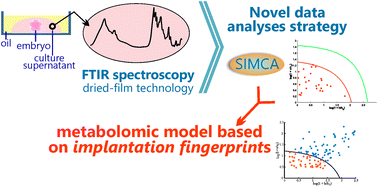 Graphical abstract: A robust metabolomics approach for the evaluation of human embryos from in vitro fertilization
