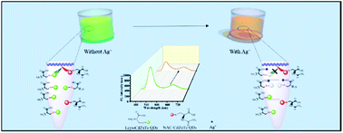 Graphical abstract: Controlling the ligands of CdZnTe quantum dots to design a super simple ratiometric fluorescence nanosensor for silver ion detection