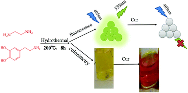 Graphical abstract: N-Doped carbon dots for the fluorescence and colorimetry dual-mode detection of curcumin