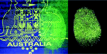 Graphical abstract: Harnessing long-lived visible phosphorescence to eliminate background interference from fingermark images