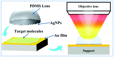 Graphical abstract: A sandwich SERS detection system based on optical convergence and synergistic enhancement effects